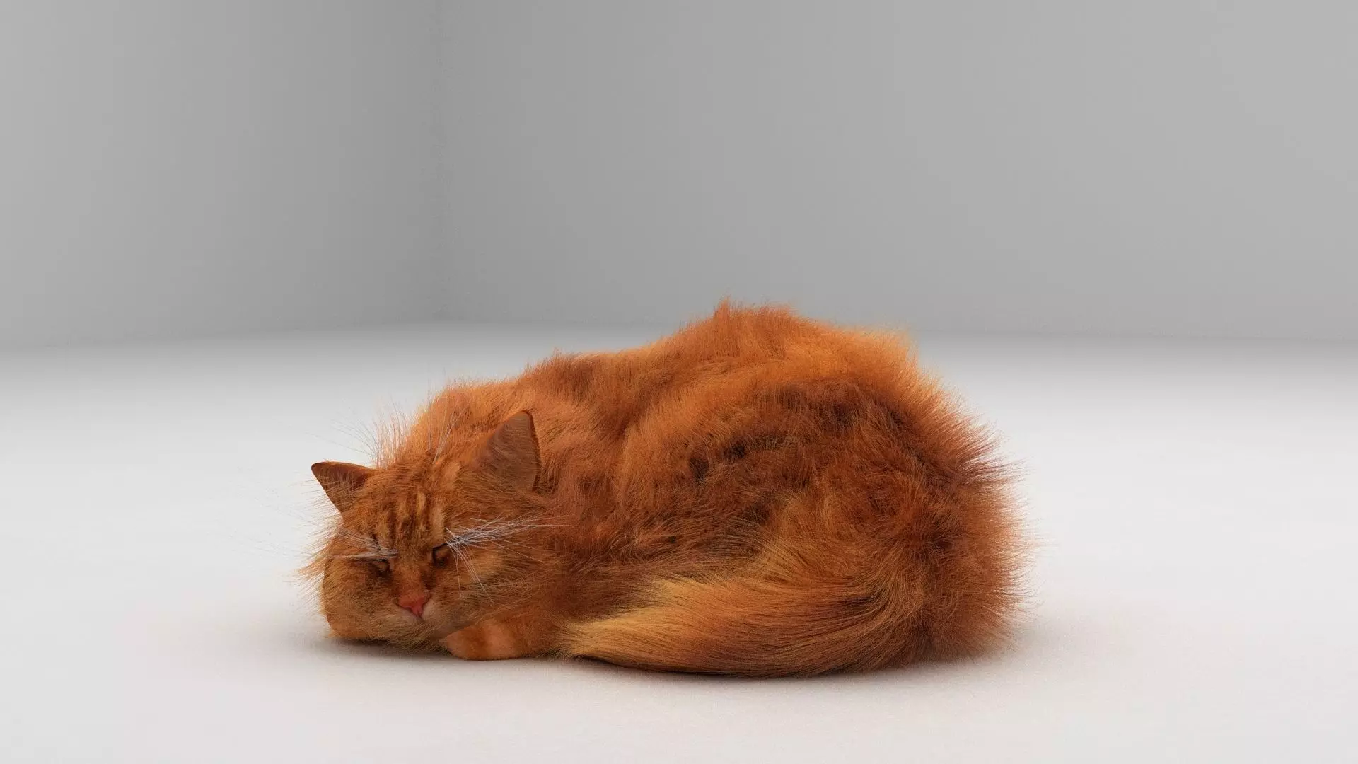 Realistic 3D Cat Model 3D model_0