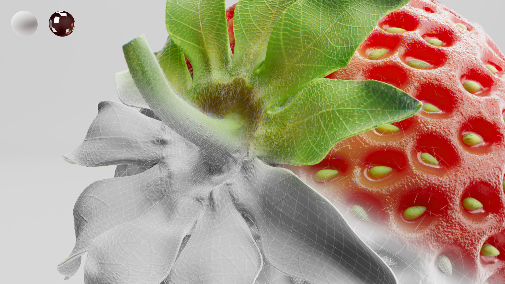 Strawberry 3D model_7