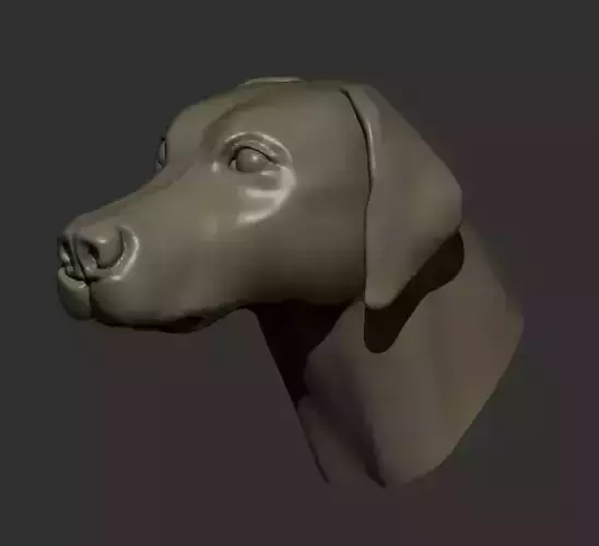 Dog Head