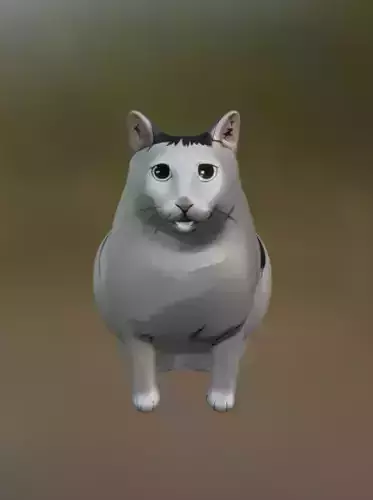 huh cat  3D model