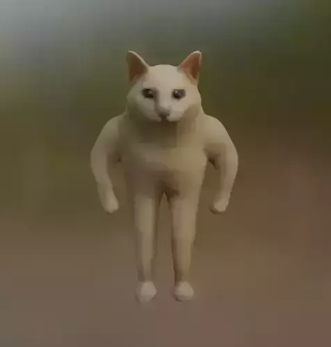 standing meme cat