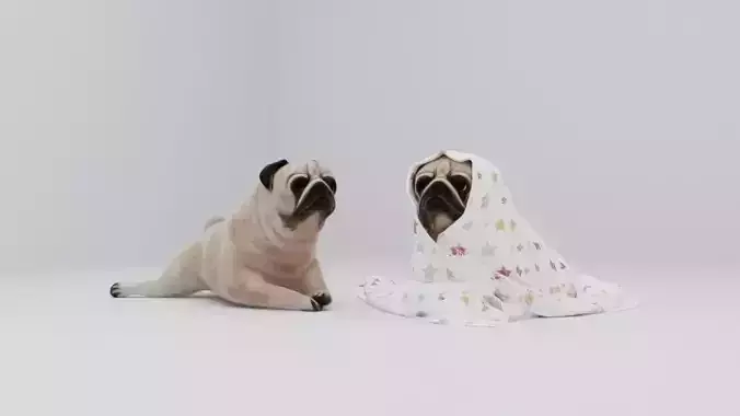 Realistic 3D Dog Model