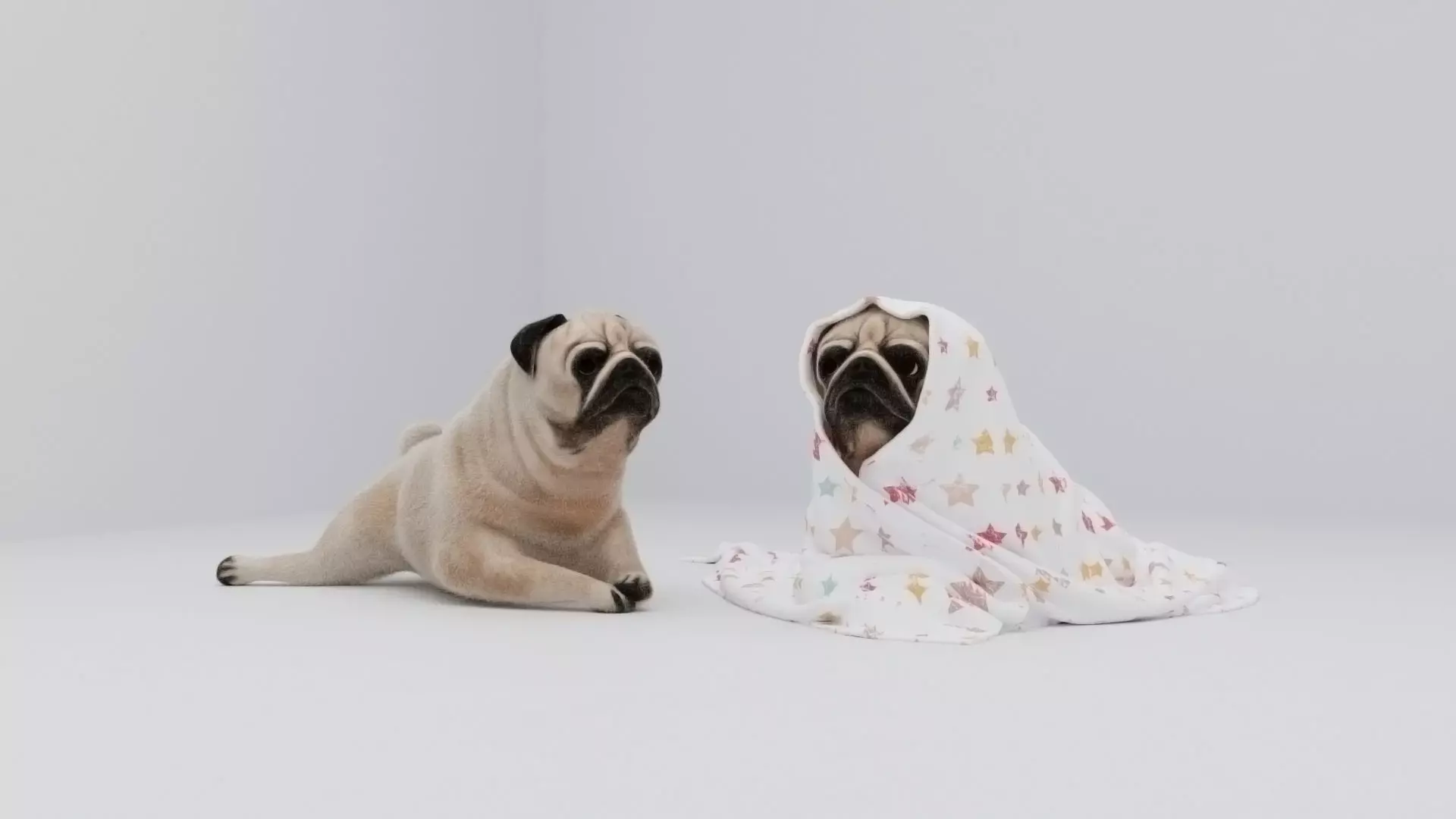 Realistic 3D Dog Model 3D model_0