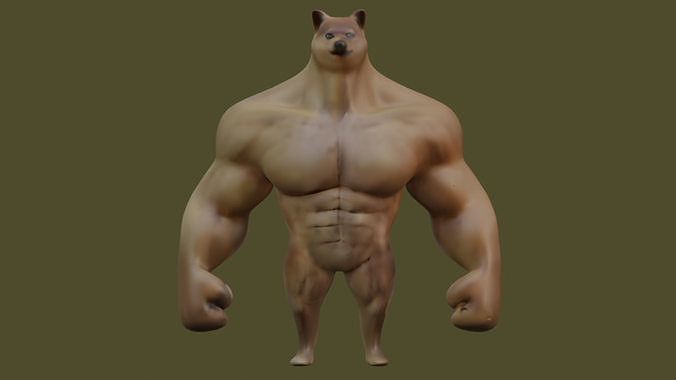 muscle shiba 3D model