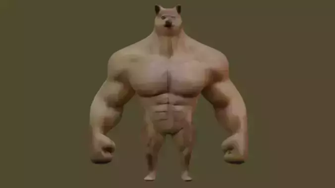 muscle shiba