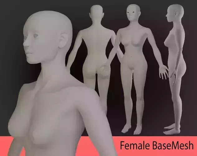 Realistic female BaseMesh 