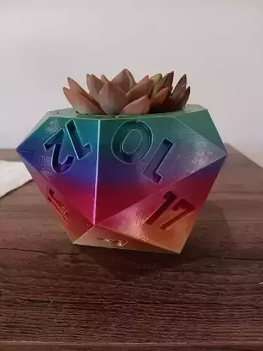 D 20 dice plant pot