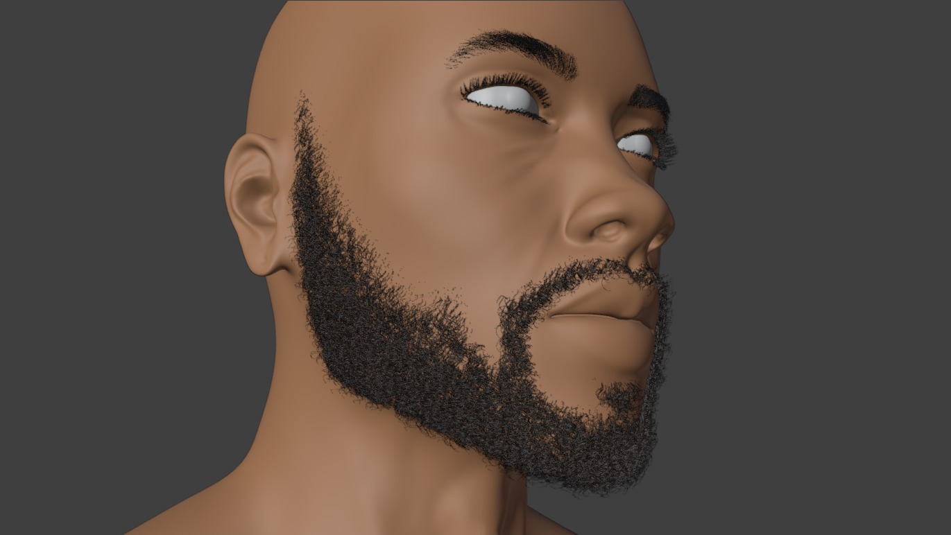 Short Beard 3D model_11