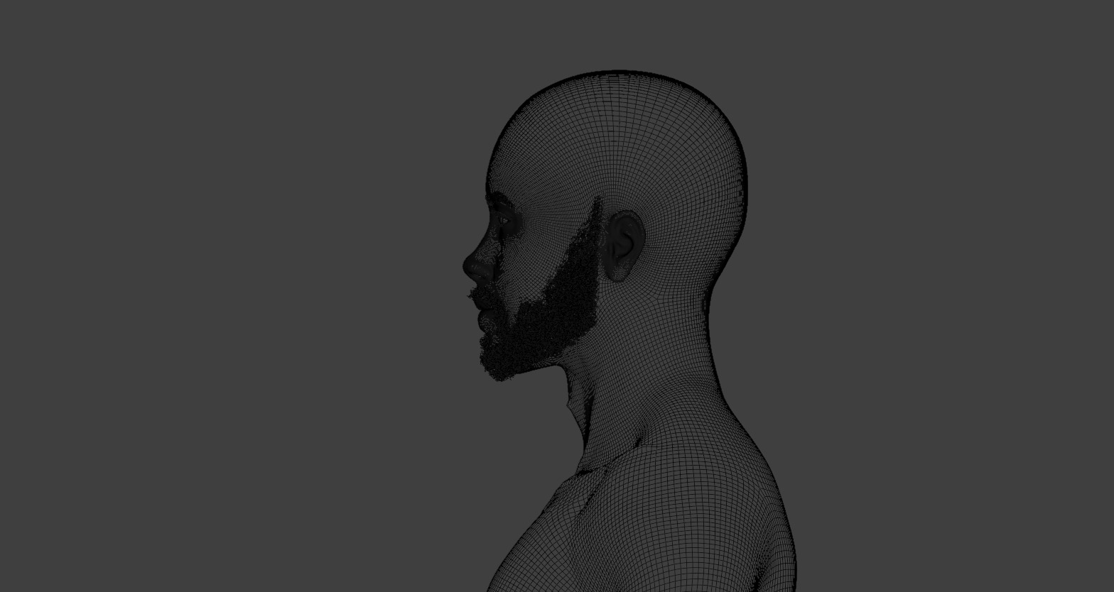 Short Beard 3D model_10