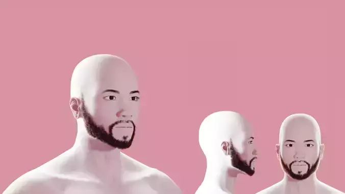Short Beard 3D model