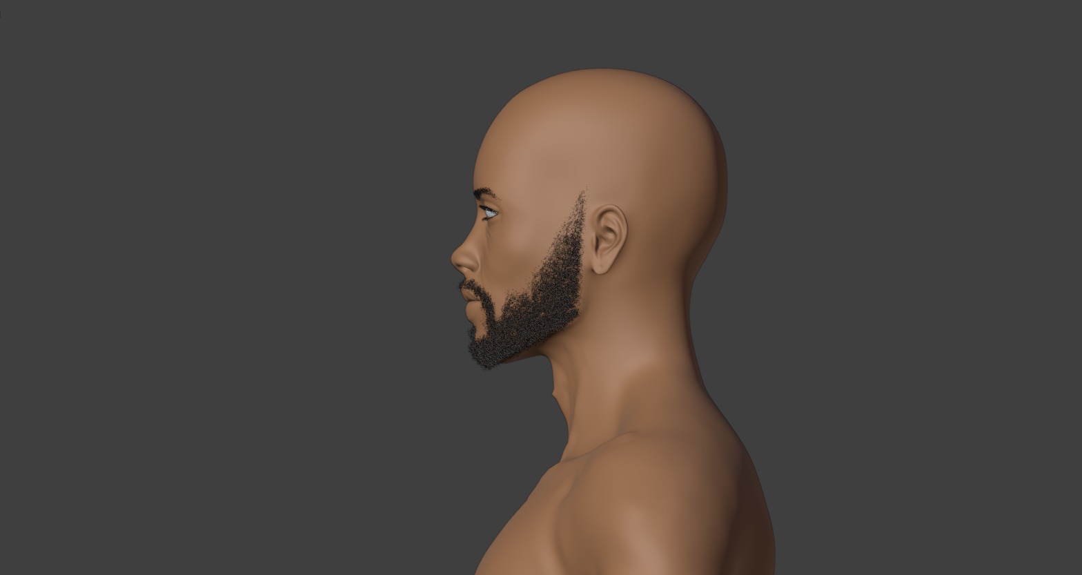 Short Beard 3D model_9