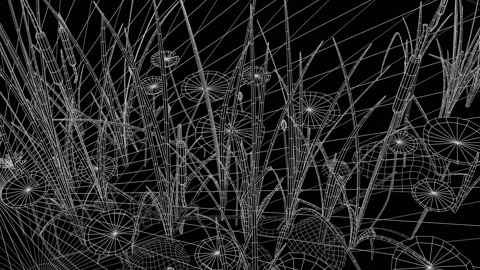 Lake Plants  Nymphaea Typha latifolia Low-poly 3D model_3