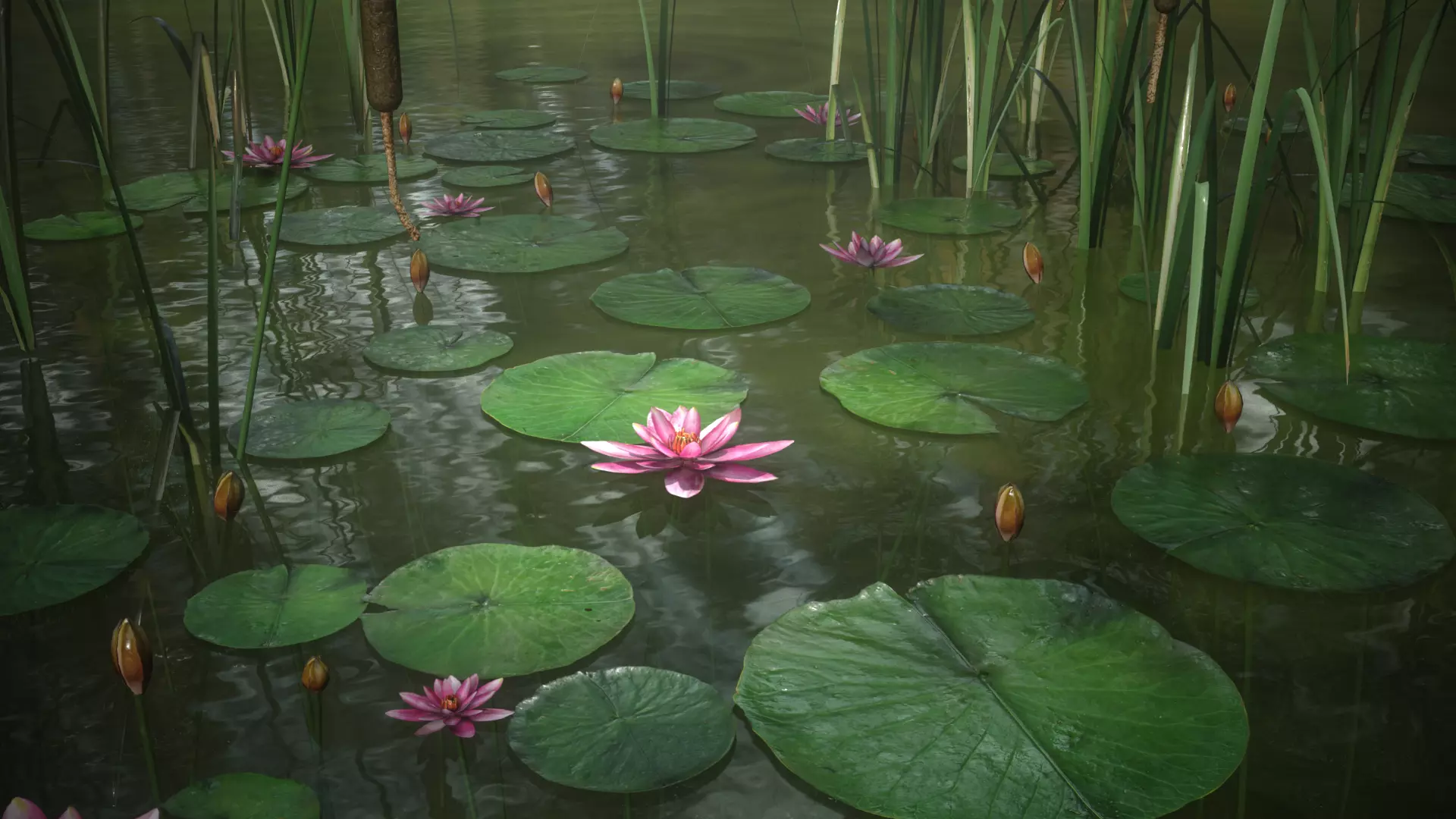 Lake Plants  Nymphaea Typha latifolia Low-poly 3D model_0