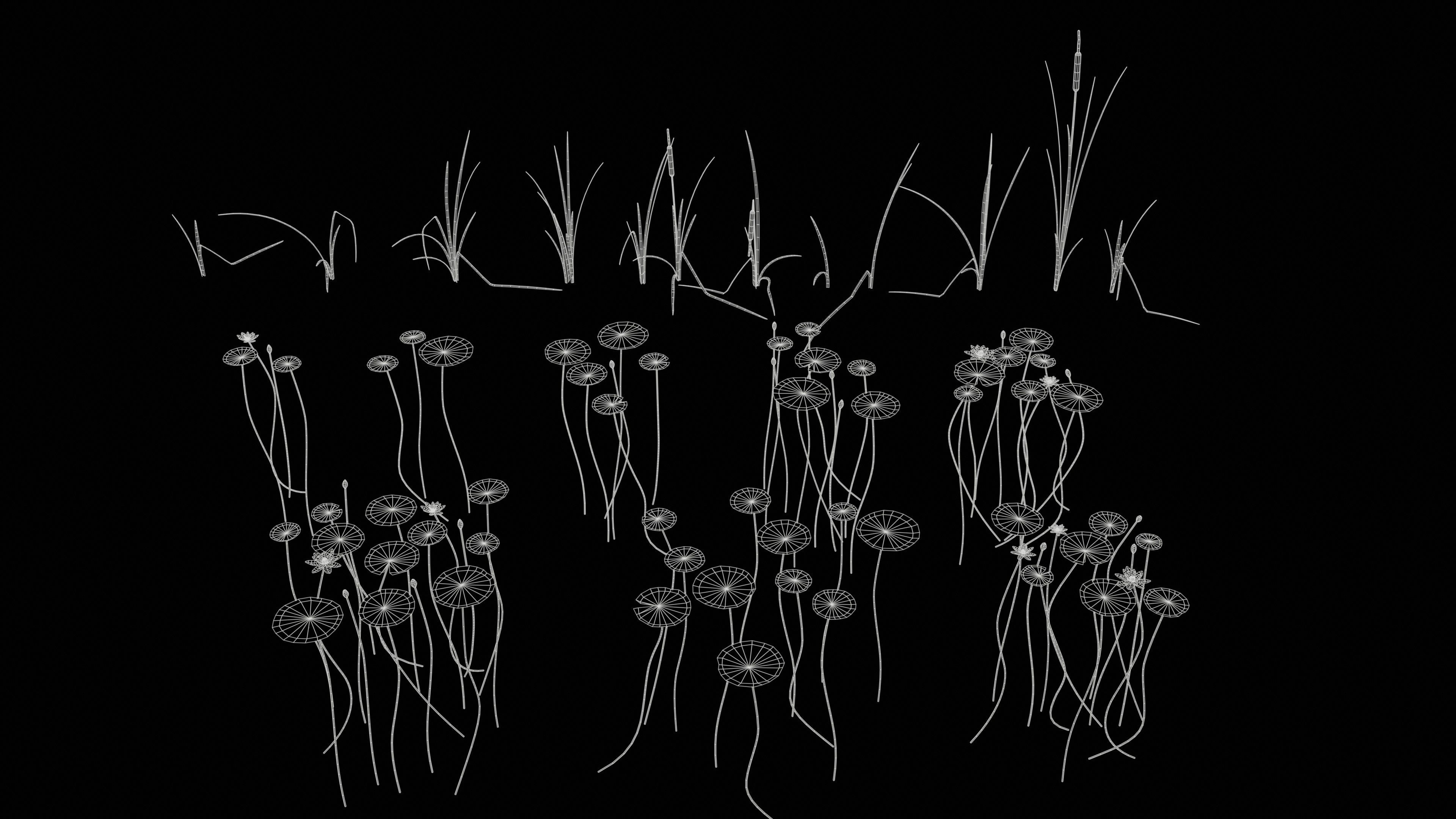 Lake Plants  Nymphaea Typha latifolia Low-poly 3D model_5