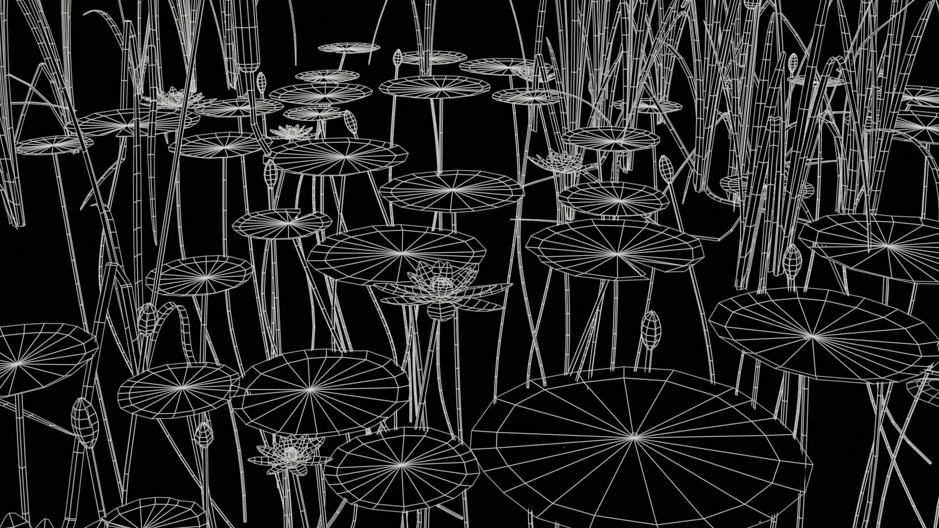 Lake Plants  Nymphaea Typha latifolia Low-poly 3D model_1