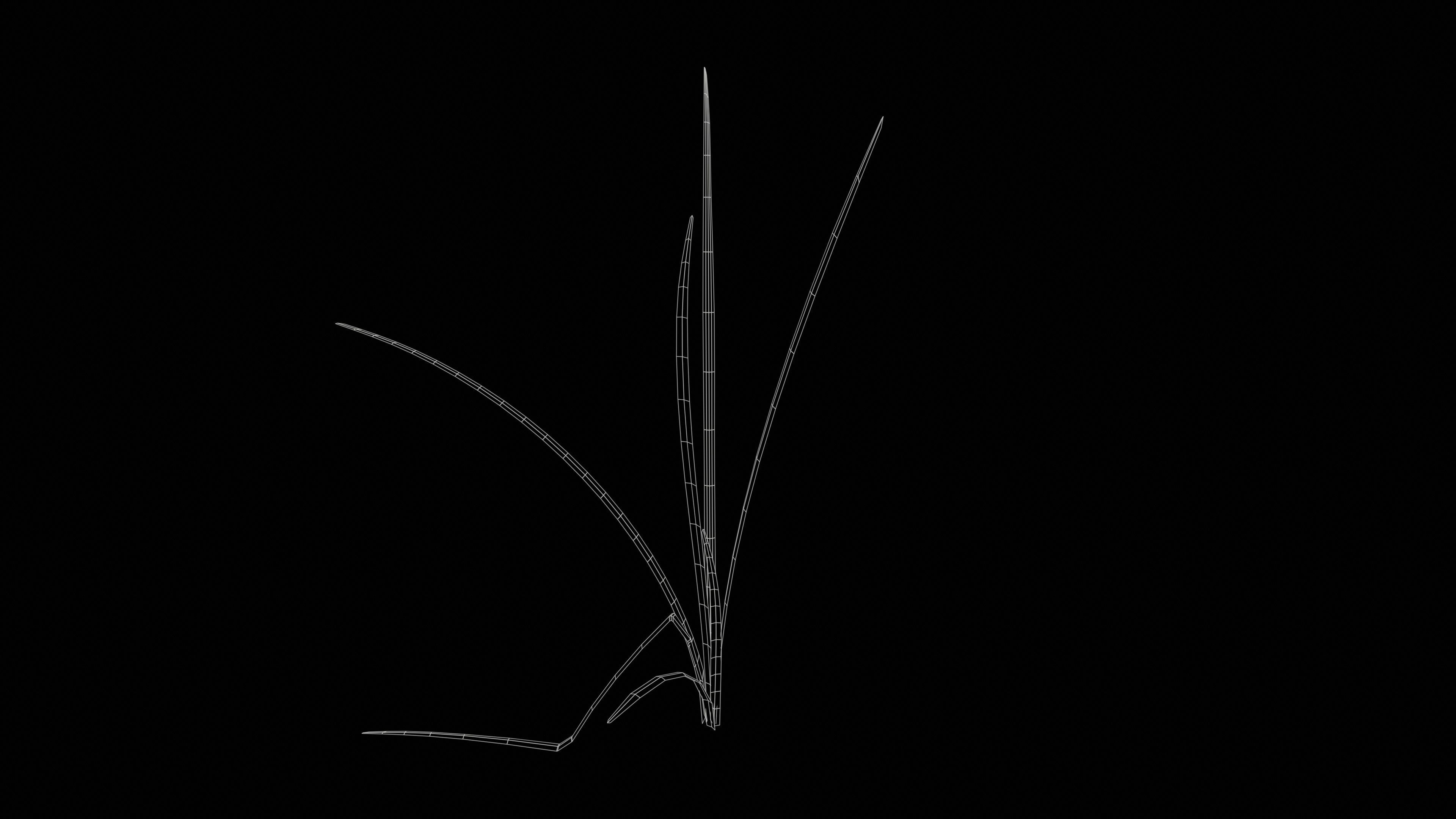 Lake Plants  Nymphaea Typha latifolia Low-poly 3D model_11