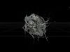 Splash Explosion animated 3D model_3