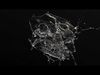 Splash Explosion animated 3D model_2
