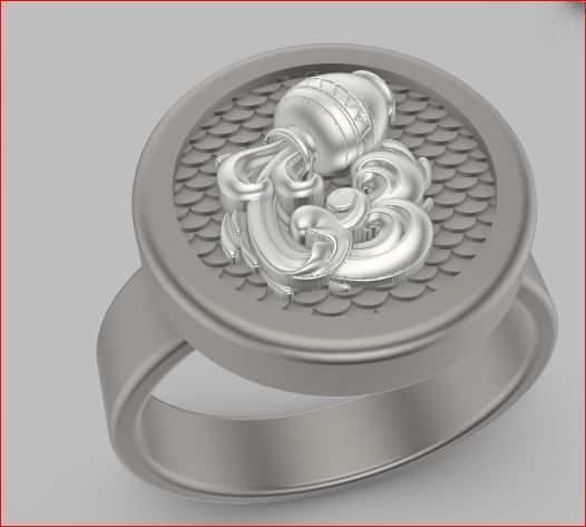 zodiac rings 3D print model_13