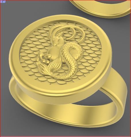 zodiac rings 3D print model_4