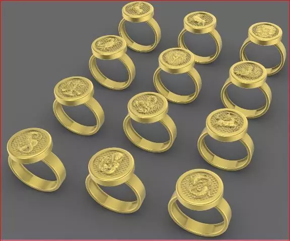 zodiac rings 3D print model_2