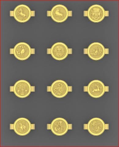 zodiac rings 3D print model_11