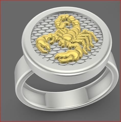 zodiac rings 3D print model