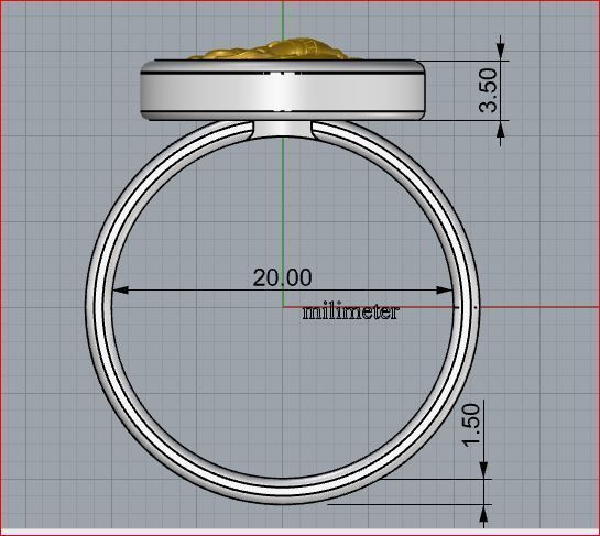 zodiac rings 3D print model_8