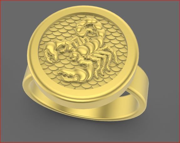 zodiac rings 3D print model_19