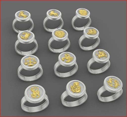zodiac rings 3D print model_1