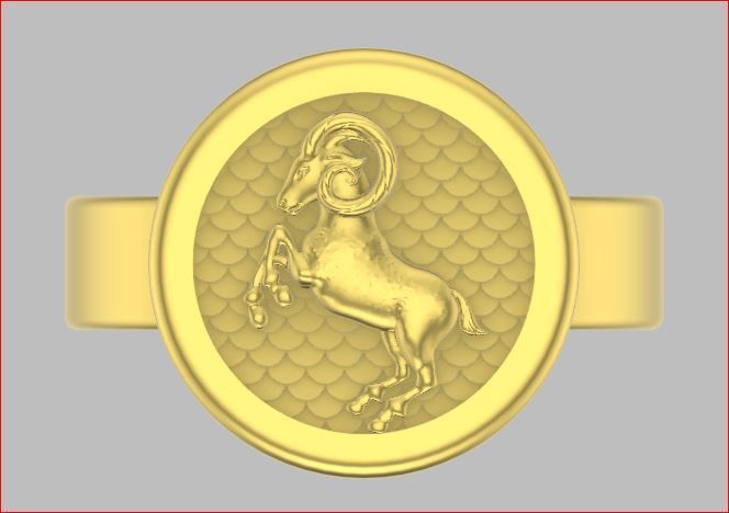 zodiac rings 3D print model_22