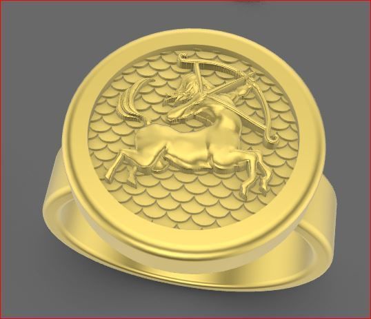 zodiac rings 3D print model_20