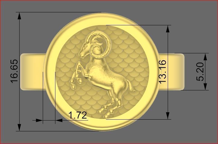 zodiac rings 3D print model_9