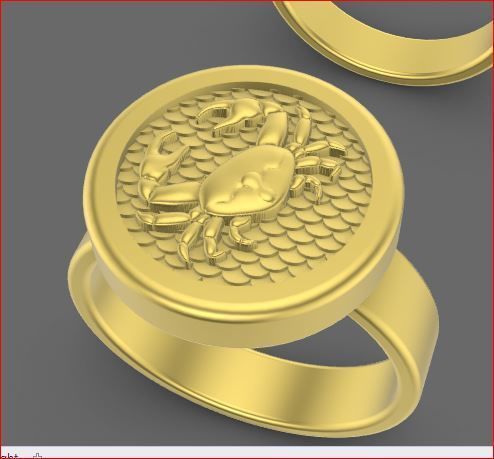 zodiac rings 3D print model_15
