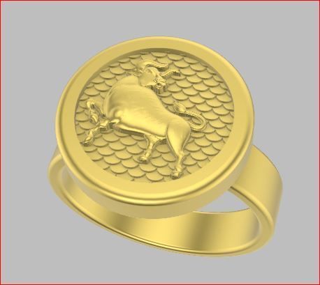 zodiac rings 3D print model_12