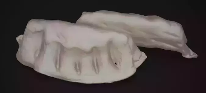 GYOZA POTSTICKER 2024