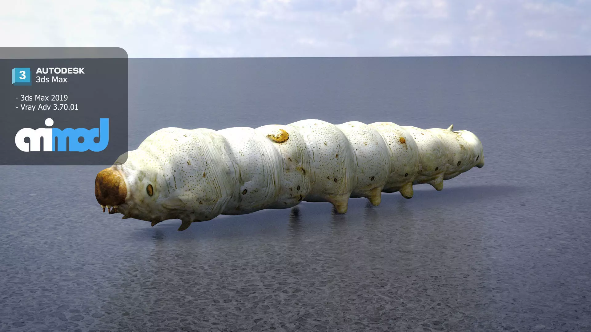 Silkworm 3D model_0