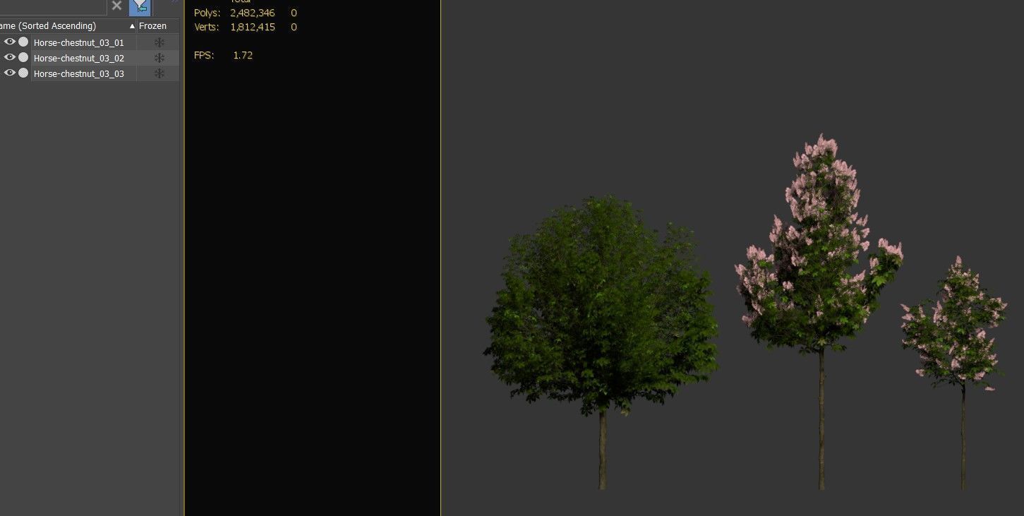 Horse chestnut 03 3D model_5