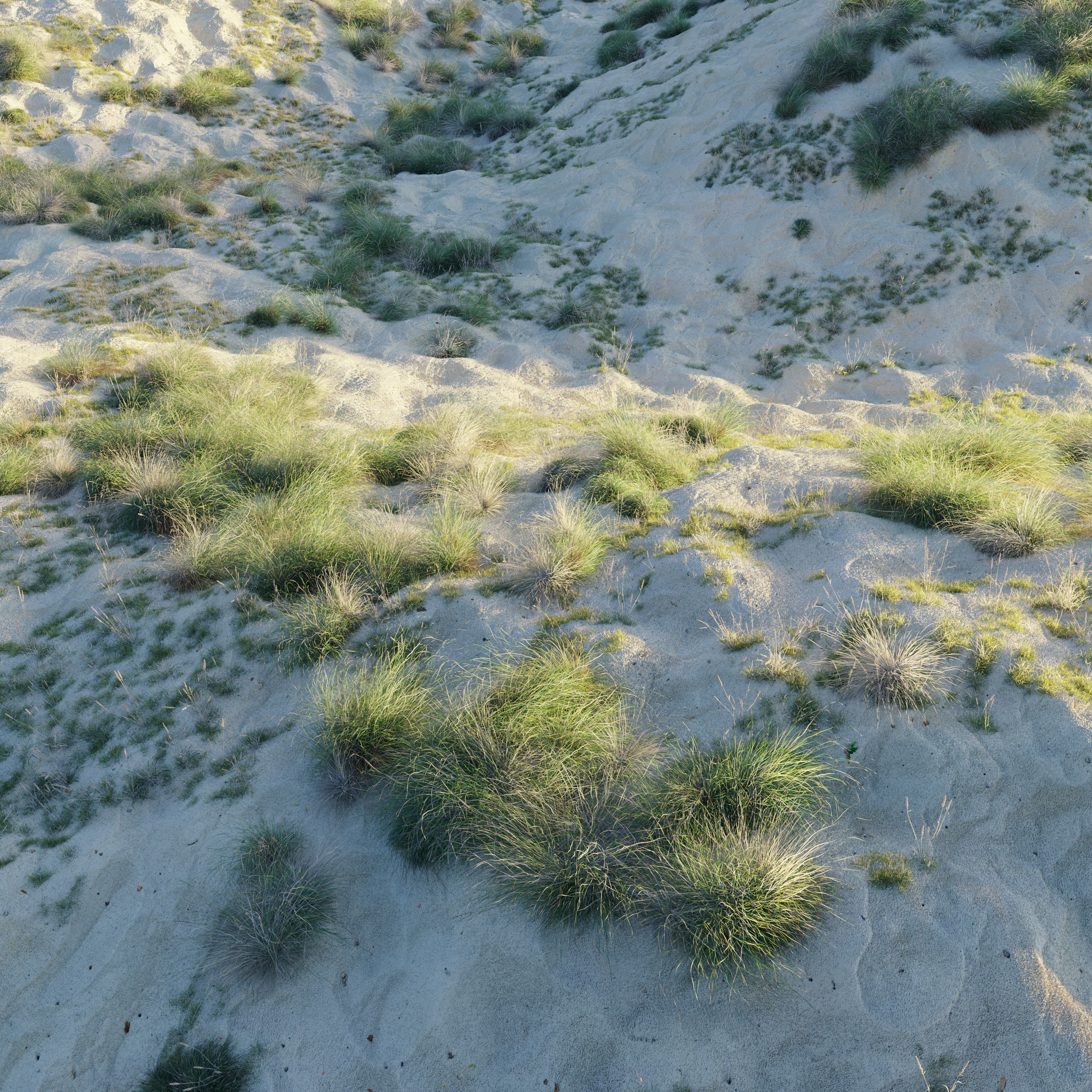 Sandy biome 3D model_2