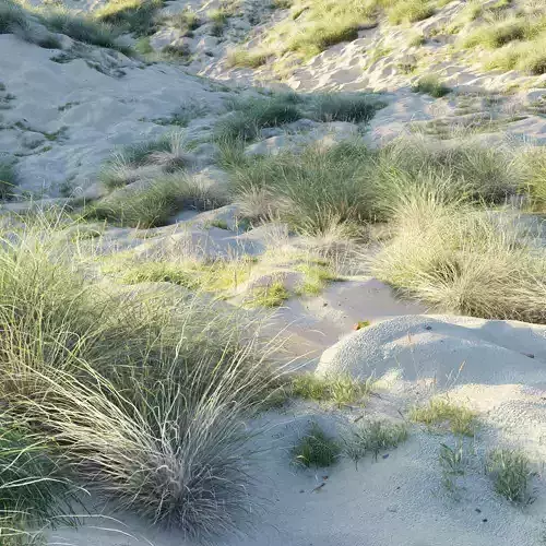 Sandy biome 3D model