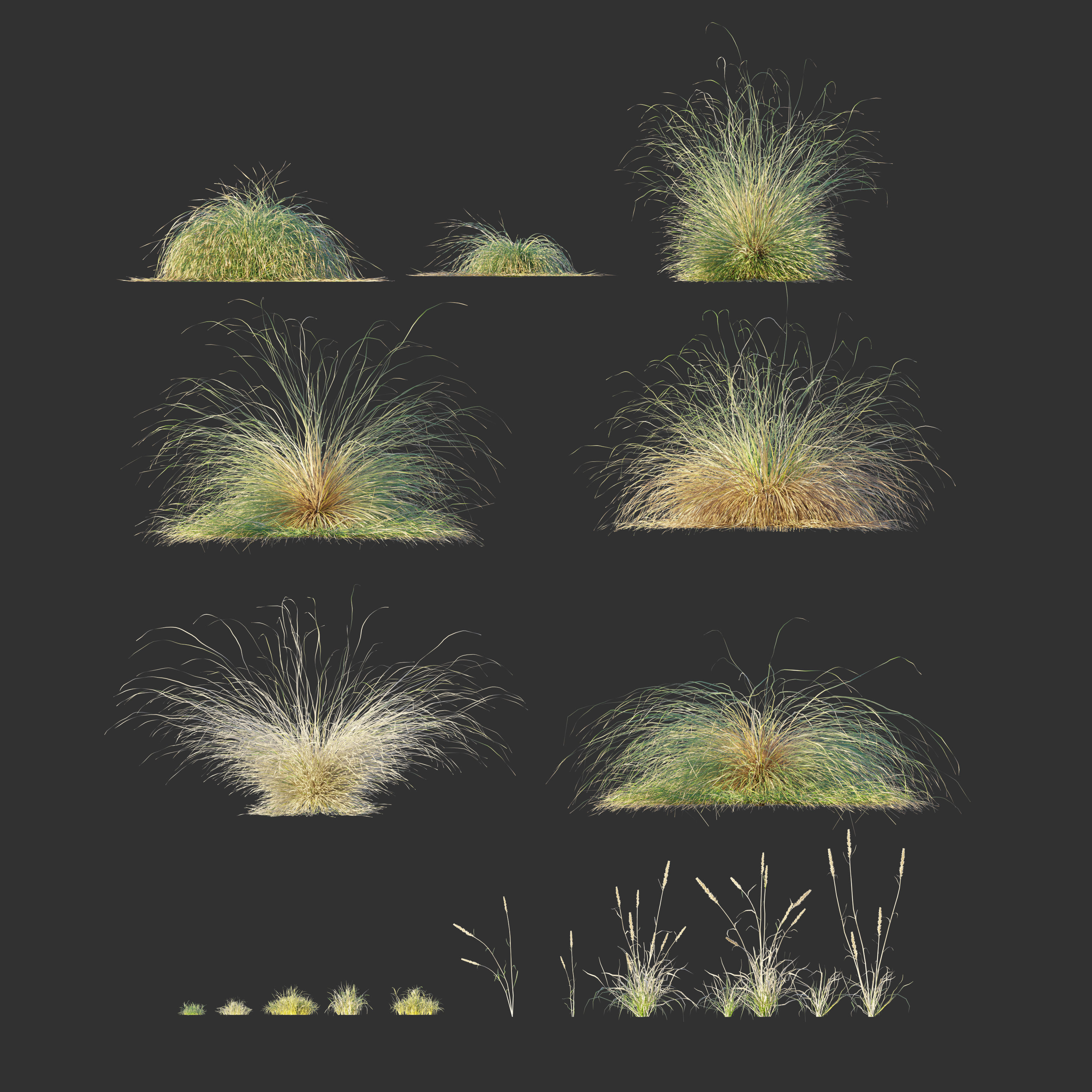 Sandy biome 3D model_3