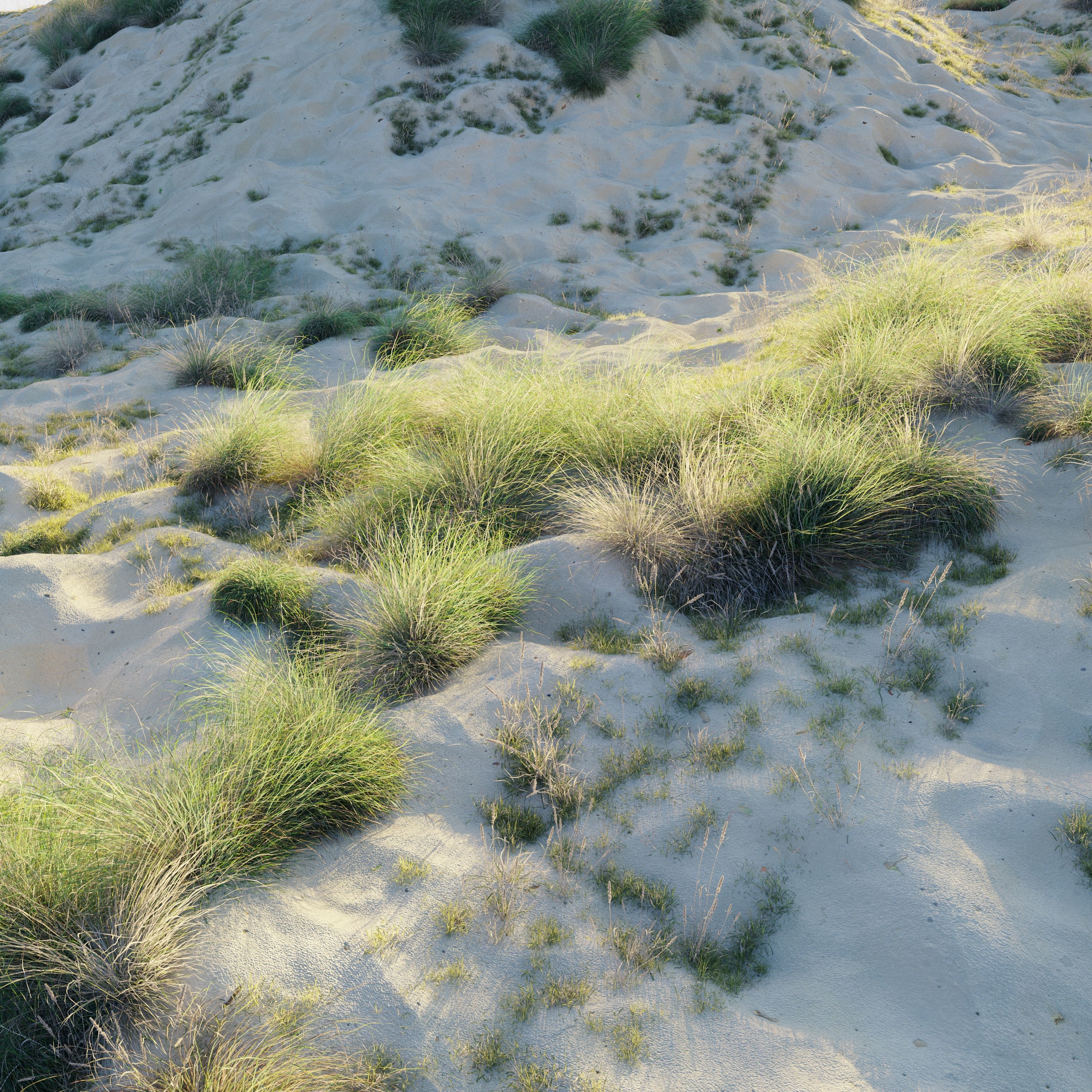 Sandy biome 3D model_1