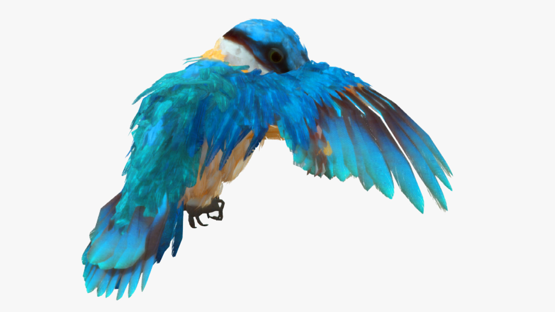 Bird Animation Low-poly 3D model_5