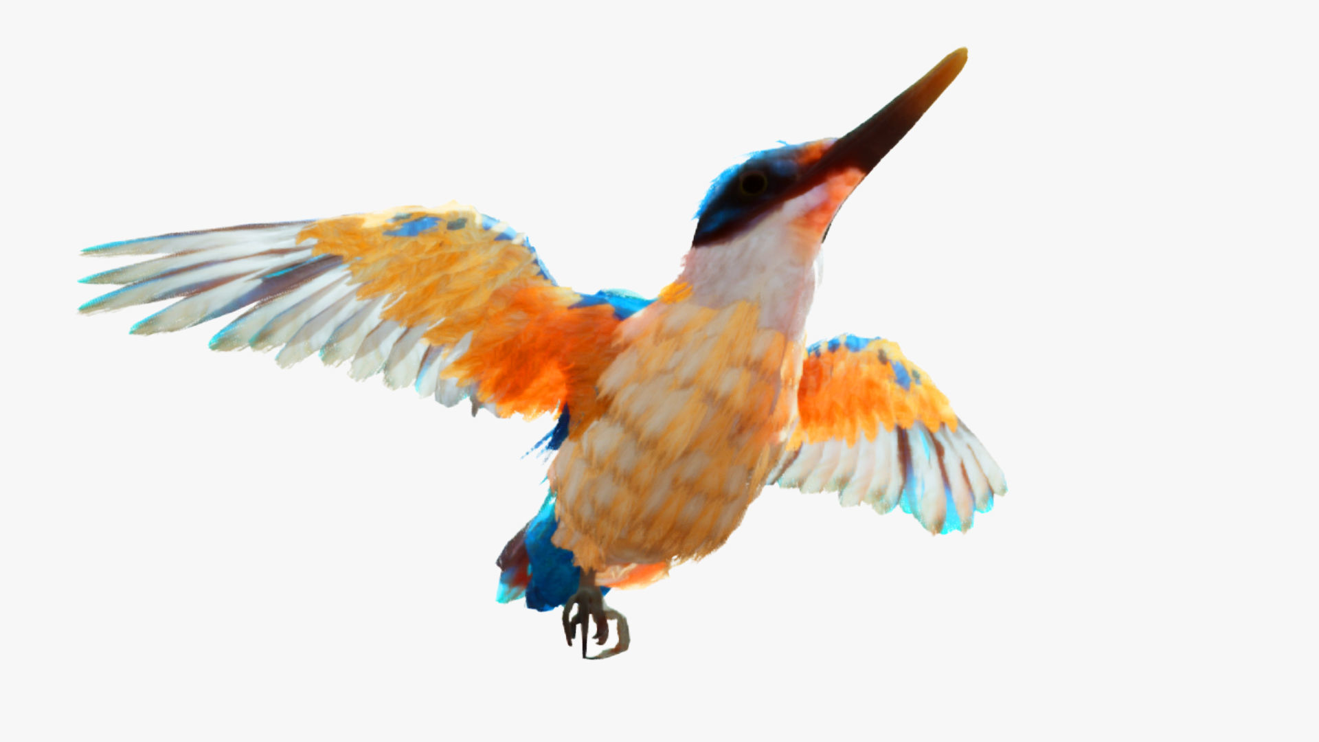 Bird Animation Low-poly 3D model_7