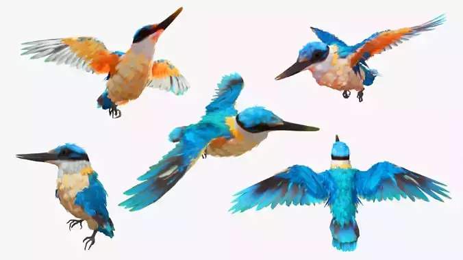 Bird Animation Low-poly 3D model