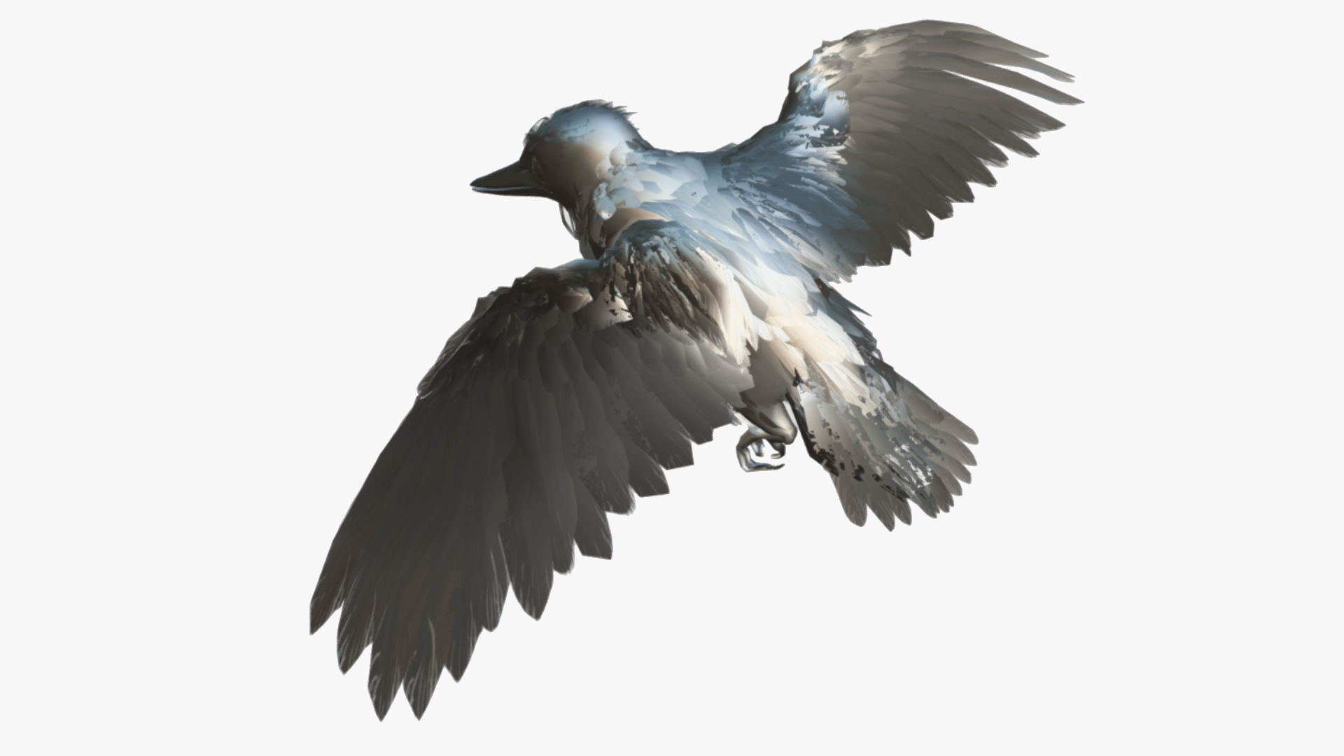 Bird Animation Low-poly 3D model_9