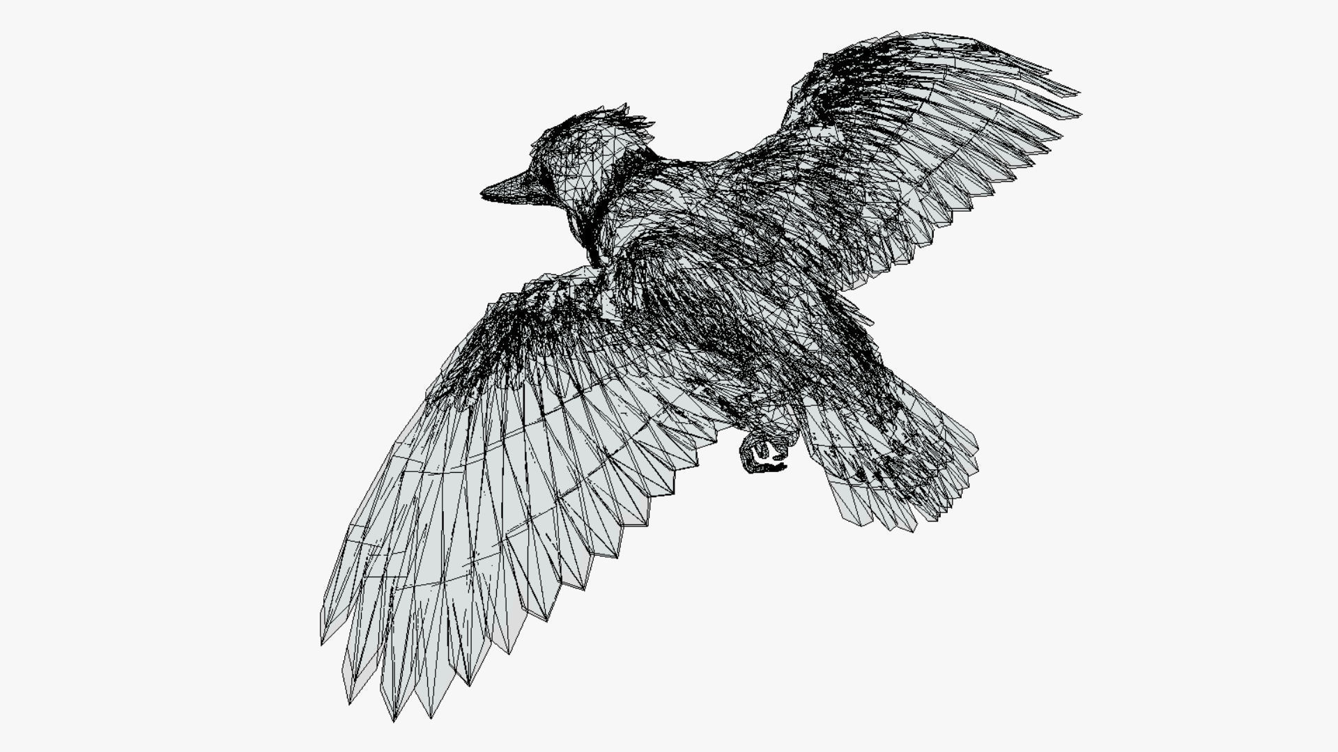 Bird Animation Low-poly 3D model_8