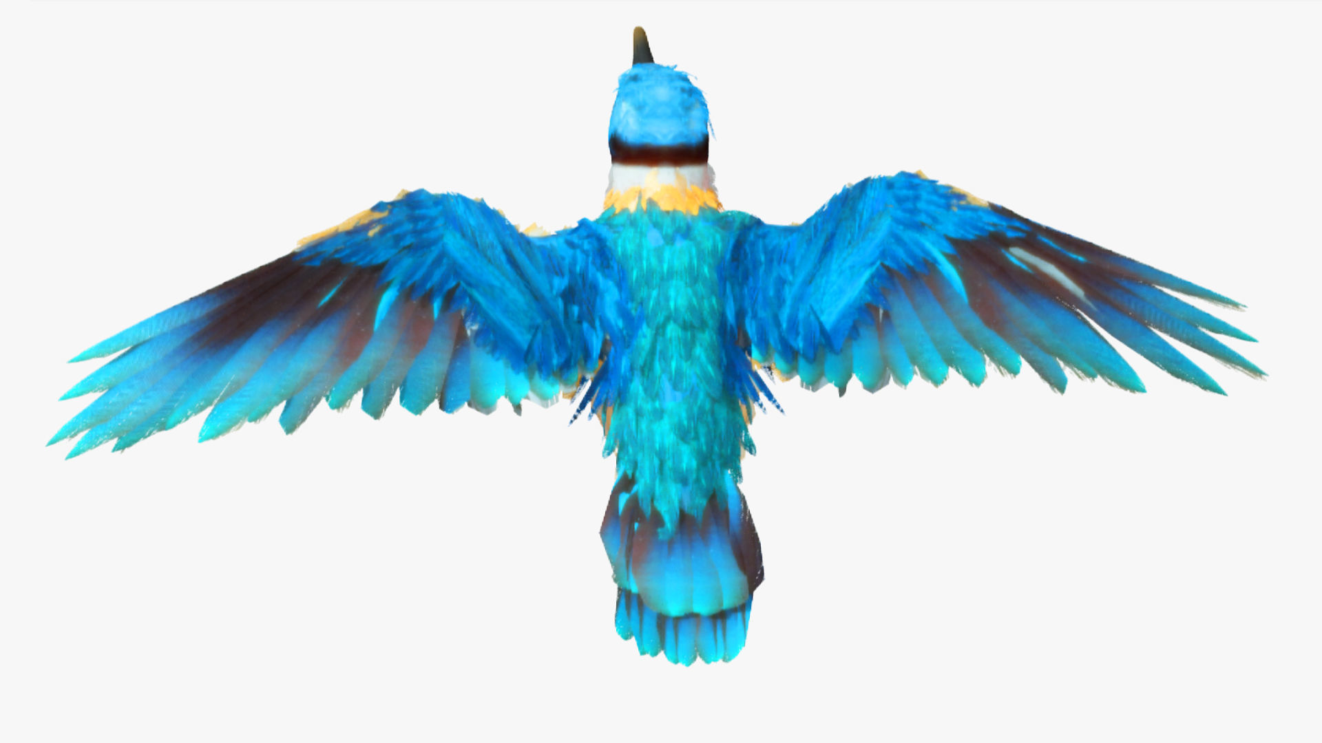 Bird Animation Low-poly 3D model_6