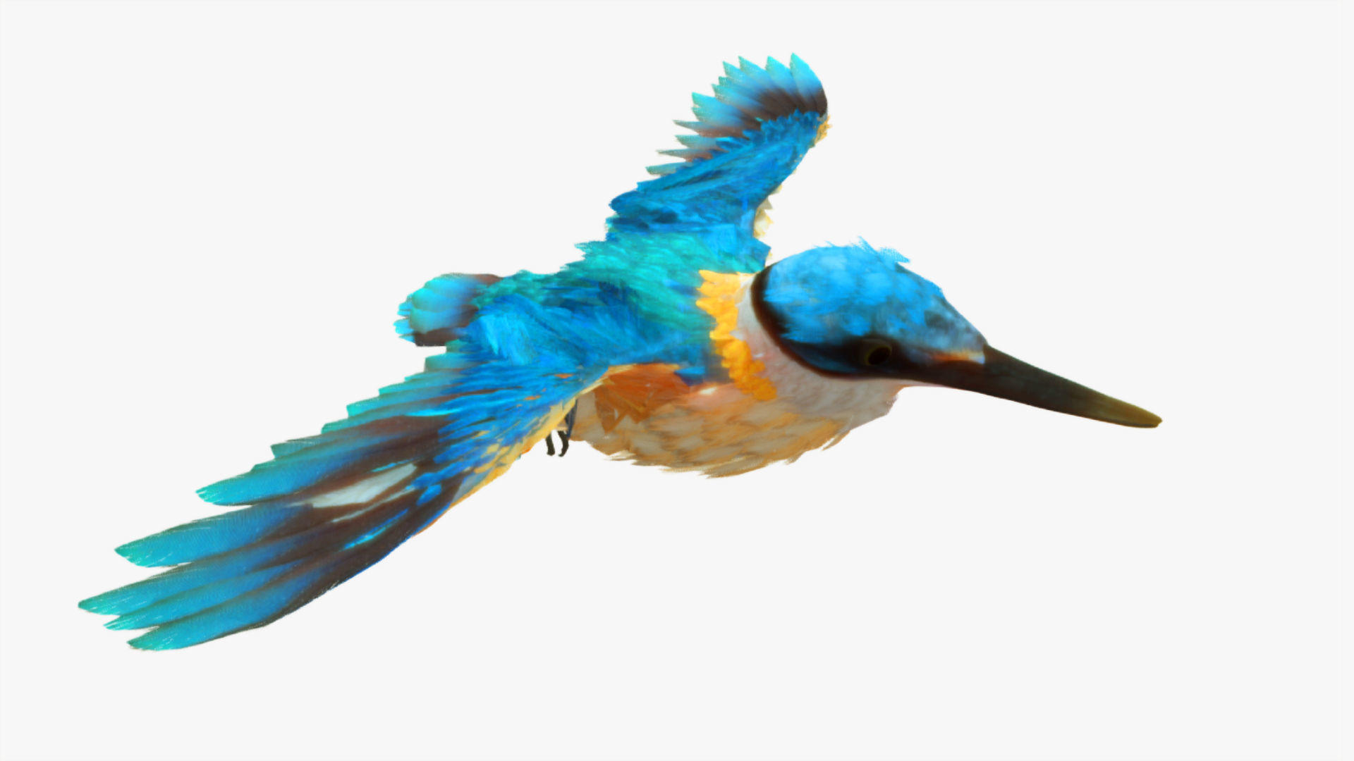 Bird Animation Low-poly 3D model_2