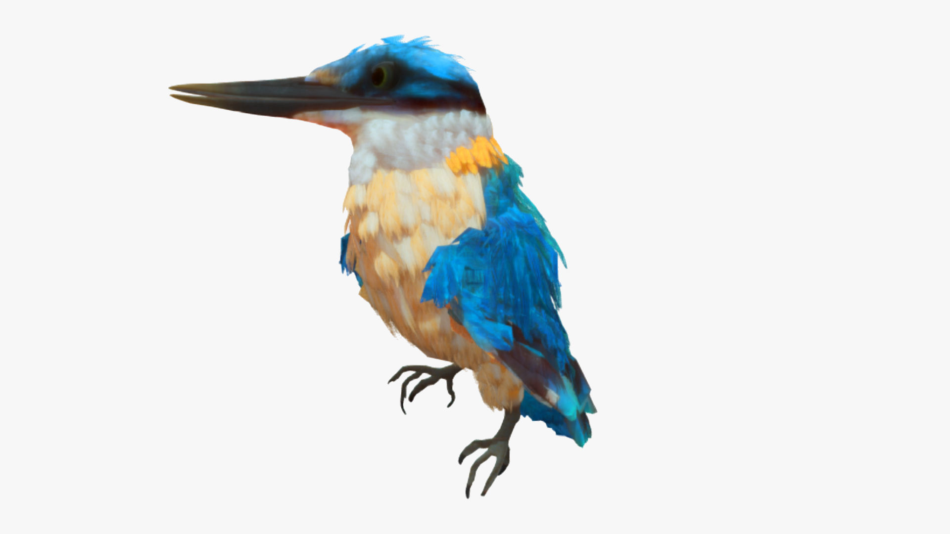 Bird Animation Low-poly 3D model_4